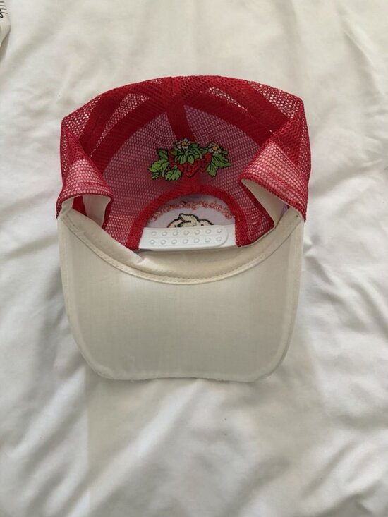 Dolls Kill X Strawberry Shortcake Embroidered Trucker Hat NWOT